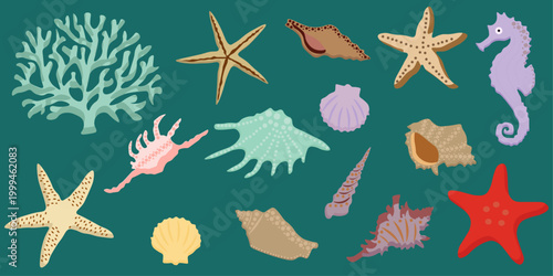 Bright colorful collection of sea shells, starfish, coral and seahorse on turquoise background. Perfect for summer designs, beach themes, marine patterns, kids illustrations, packaging, posters