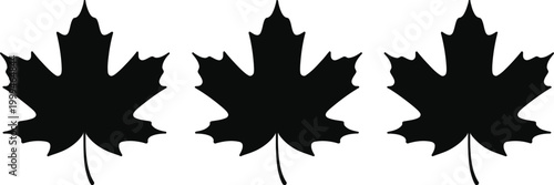 Three black maple leaf silhouettes isolated on white background for autumn season nature themes and Canadian national symbol design projects.