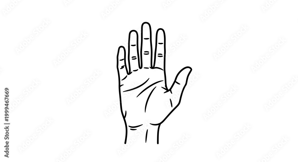 Fototapeta premium Hand Outline, Five Fingers Raised, Stop Gesture, Isolated on White Background