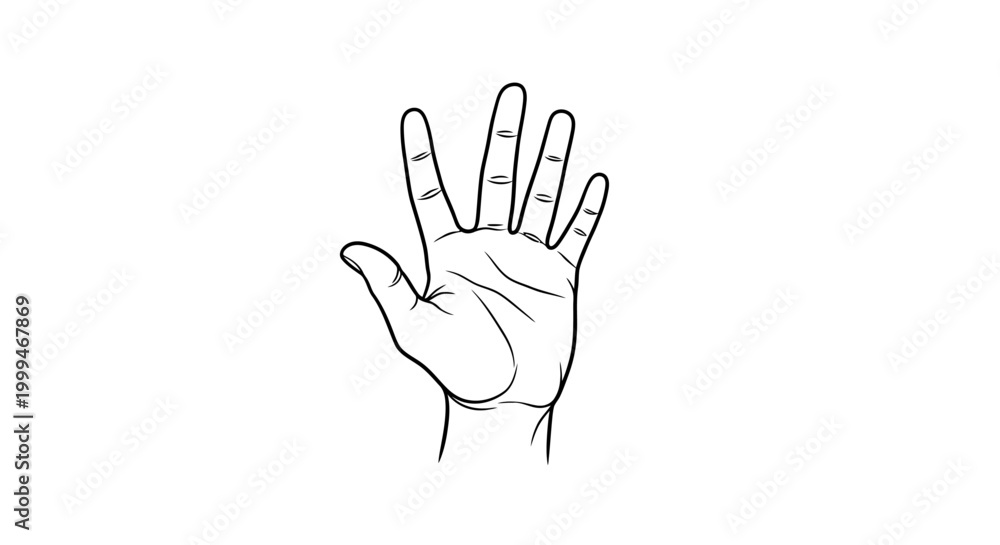 Obraz premium Open Hand Outline Drawing, Five Fingers Raised, White Background
