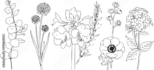 Five different black and white floral illustrations in a simple line art style