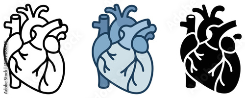 human heart anatomy healthcare icon