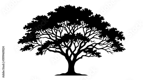 Vector silhouette of large spreading tree with dense branches and leaves, nature landscape art