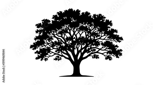 Vector silhouette of large spreading tree with dense branches and leaves, nature landscape art