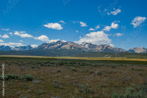 Vast meadow stretches under bright blue sky. Mountains rise with snow-capped peaks in distance. Clouds drift lazily across the horizon. Sparse shrubs dot the earthy terrain