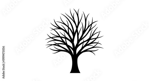 фотографія Silhouette of bare tree branches against white background, symbolizing winter or