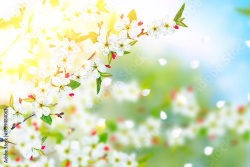 Soft spring background. Blurred. Blossoming branch plum. Bright colorful spring flowers. Beautiful nature scene