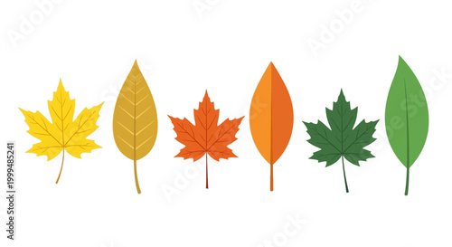 A vibrant collection of autumn leaves in various shapes and warm fall colors, perfect for seasonal designs, nature themes, and decorative elements to capture the essence of fall