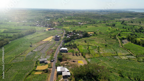 Tableau sur toile Stunning overhead panorama of Lombok tobacco crops with lush leafy plants rollin