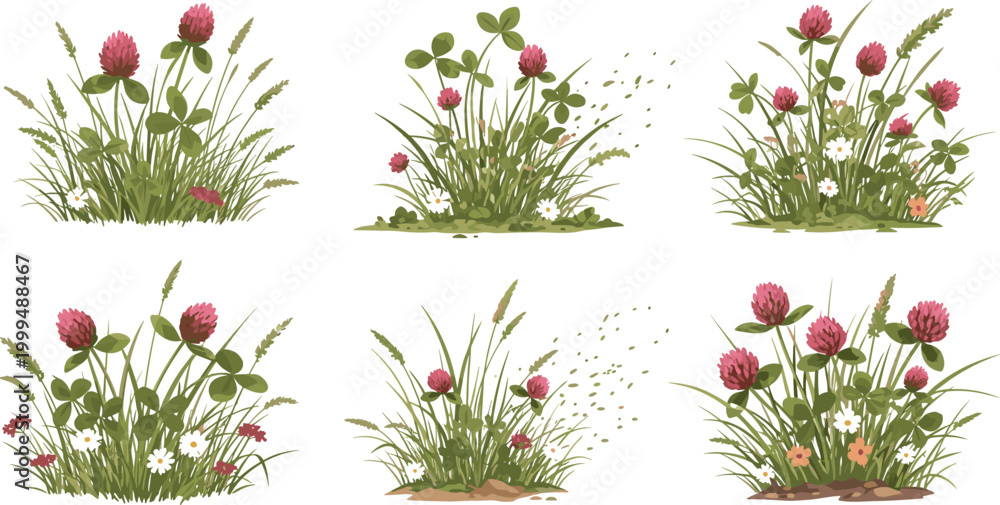 Fototapeta premium Wild Red Clover Meadow Grass Flower Bush Cluster Botanical Sketch Vector Illustration Set Collection