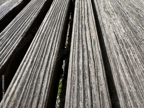 wood texture background