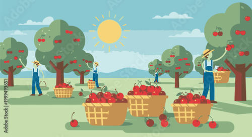 People harvesting apples from trees in an orchard on a sunny day