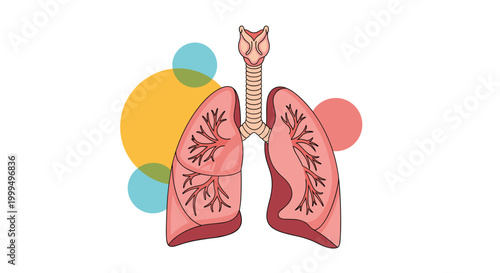 Anatomical illustration of human lungs with the trachea shown against a background of colorful translucent circles.
