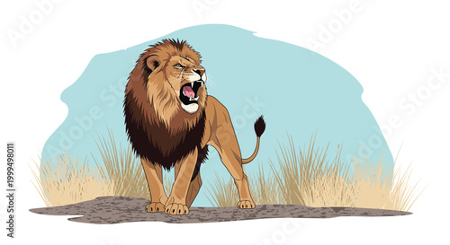 Majestic male lion with a thick mane is roaring loudly while standing in a dry savanna landscape under a blue sky.