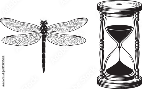 Dragonfly and hourglass in artistic sketch with sand timer, black and whit