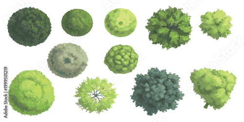 Set of various green trees seen from above for architectural landscape design
