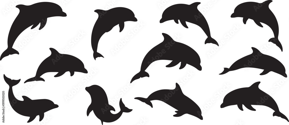 Obraz premium Dollfin fish vector illustration 