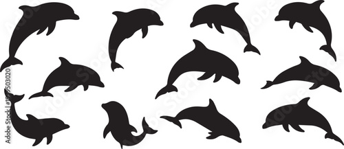 Dollfin fish vector illustration 