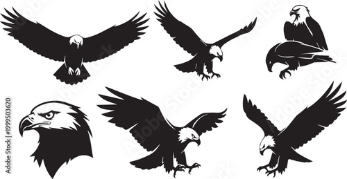 Eagle flying vector illustration 