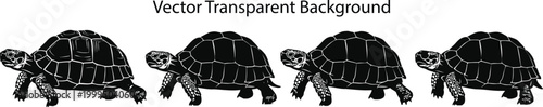 Tortoise Silhouette Vector Transparent Background