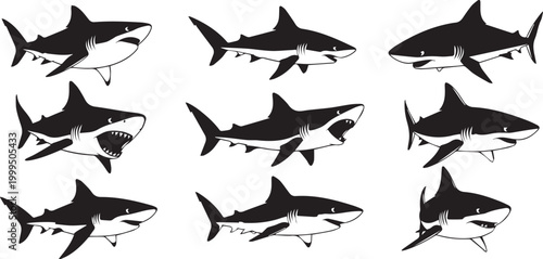 Set of shark vector silhouettes ocean wildlife illustration collection