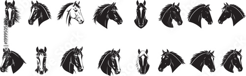 Hors head vector illustration animal set 