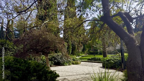 cypresses, palms and exotic Mediterranean plants in a park with paths covered in white pebbles on a sunny day