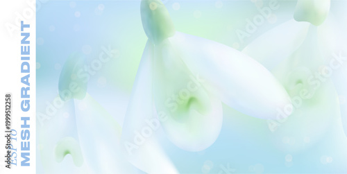 entle spring background features blooming snowdrop petals in pastel gradient. Fresh floral design with soft bokeh effect perfect for romantic Easter greeting cards and banners.