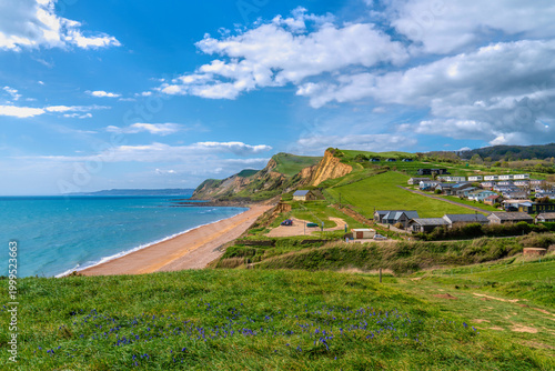 Photography Eype Dorset Spring Wildflowers Overlooking the Jurassic Coast England UK