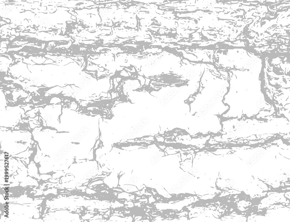 Obraz premium Grunge texture of old wood