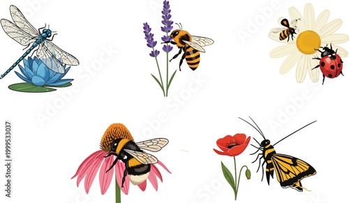 Collection of insects and flowers including dragonfly bees ladybug and moth in a charming illustration style for nature and garden themes