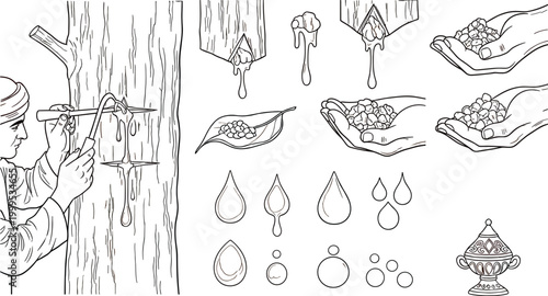Tree Resin Harvesting Illustration Set Featuring Sap Collection Process, Resin Drops, Hands Holding Resin, and Traditional Container in Line Art Style