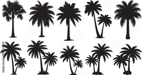 Set of Black Palm Tree Silhouettes Isolated on White Background for Tropical Design and Nature Projects