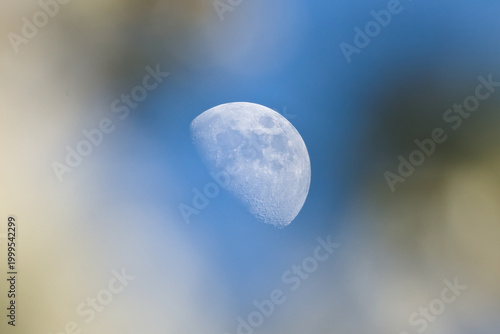 Moon (Earth’s natural satellite) in waxing gibbous phase framed through soft foreground blur against blue sky