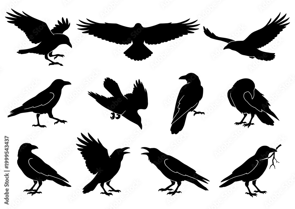 Obraz premium bird silhouettes isolated on white background