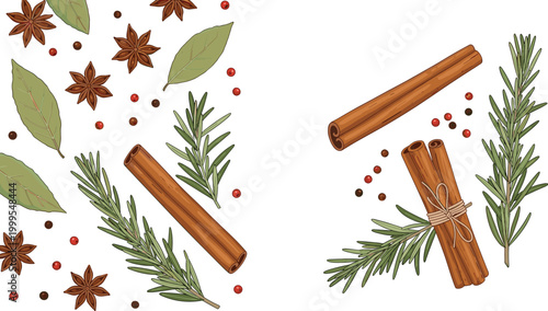 Spices and Herbs Collection Vector Illustration with Cinnamon Sticks, Rosemary, Star Anise, and Pepper Berries for Culinary and Seasonal Designs