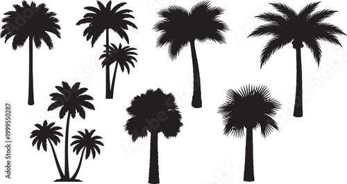 Set of Tropical Palm Tree Silhouettes Isolated on White Background for Summer Design and Nature Projects