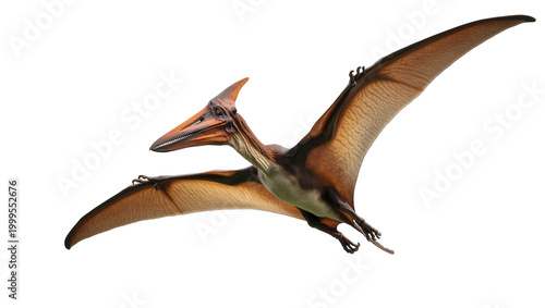 Billede på lærred Brown Pterodactyl Flying with Extended Wings and Sharp Beak