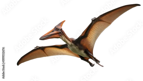 Fototapeta na wymiar Brown Pterodactyl Flying with Extended Wings and Sharp Beak