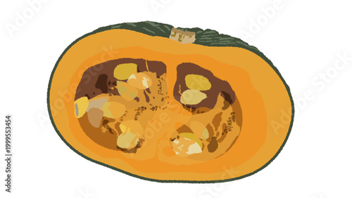 かぼちゃのベクターイラスト素材
