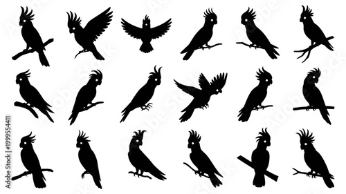 Diverse cockatoo bird silhouettes vector art set with varied perching, flying, and standing postures on tree