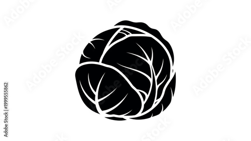 Cabbage Vegetable Organic Food Icon Vector