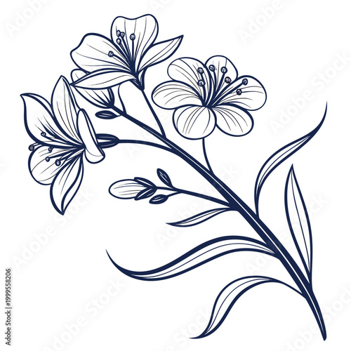 Fotografie wallflower with leaves