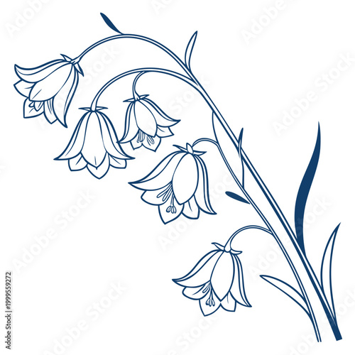 Foto virginia bluebell vector