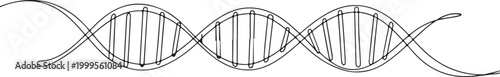 Black and white hand drawn dna double helix illustration