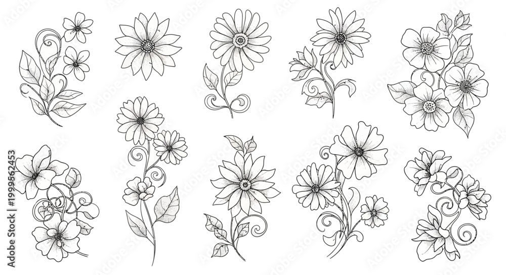 Fototapeta premium Hand-drawn floral elements, line art flowers and leaves, elegant botanical illustrations