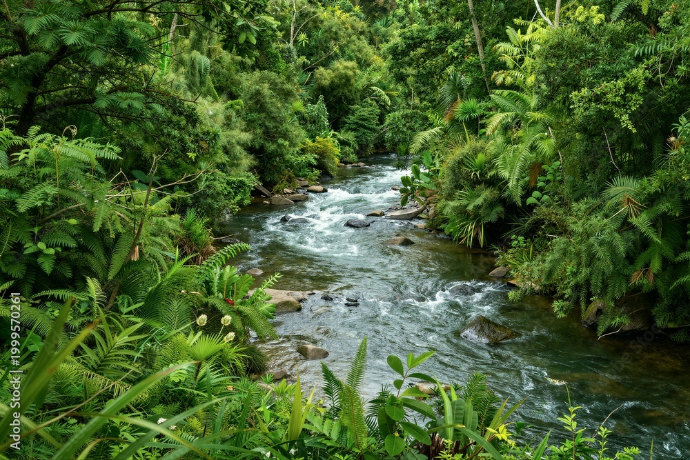 Fototapeta premium River flowing through dense green tropical forest valley