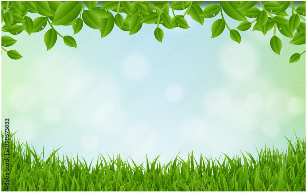Fototapeta premium green grass background with Leaves