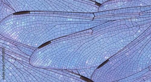 Close-up of iridescent blue dragonfly wings with intricate patterns