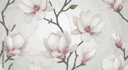 Beautiful white magnolia flowers on gray background